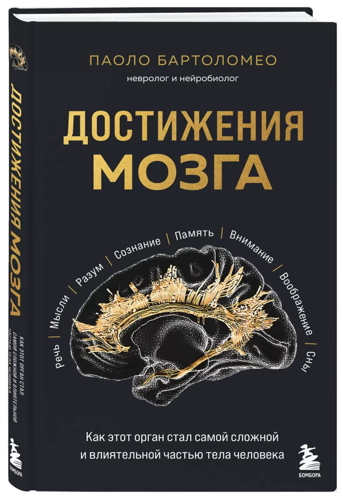 Достижения мозга. Как этот орган стал самой сложной и влиятельной частью тела человека