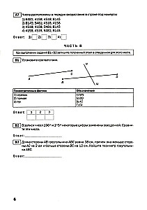 Mathematik. 5. Klasse. Probandentests