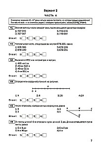 Mathematik. 5. Klasse. Probandentests