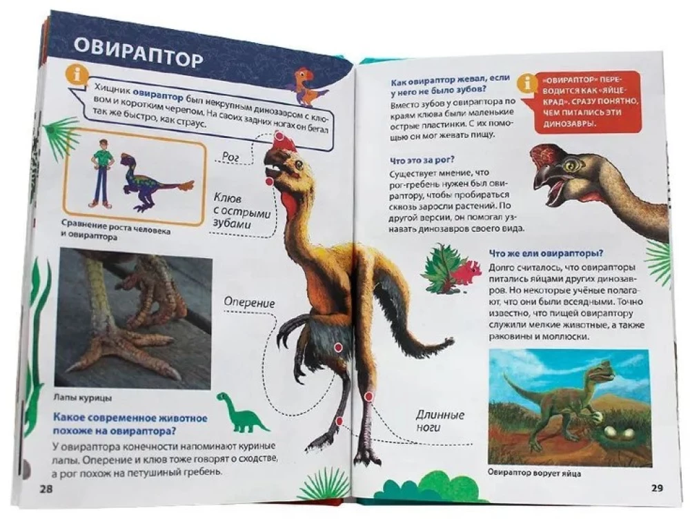 Enzyklopädie für kleine Warums. Dinosaurier