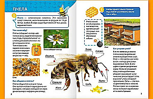 Enzyklopädie für kleine Warums. Insekten