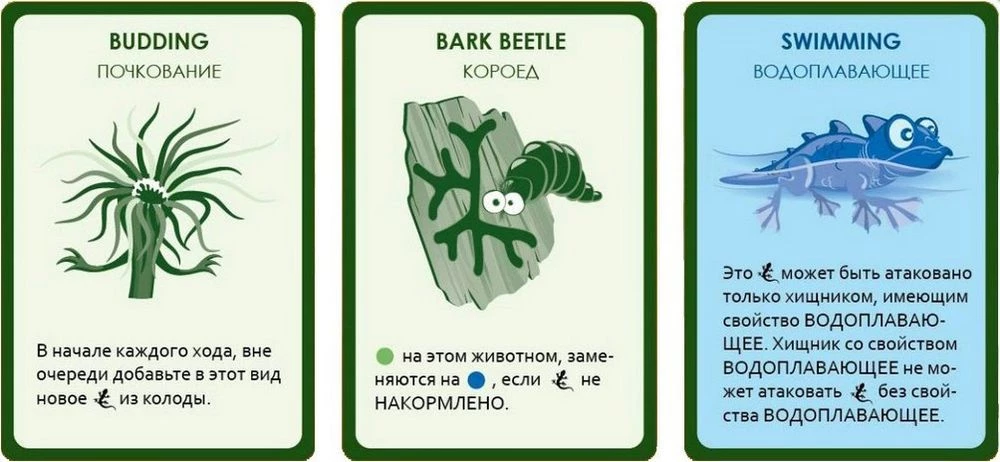 Kartenspiel Evolution. Zufällige Mutationen“ (Ergänzung)