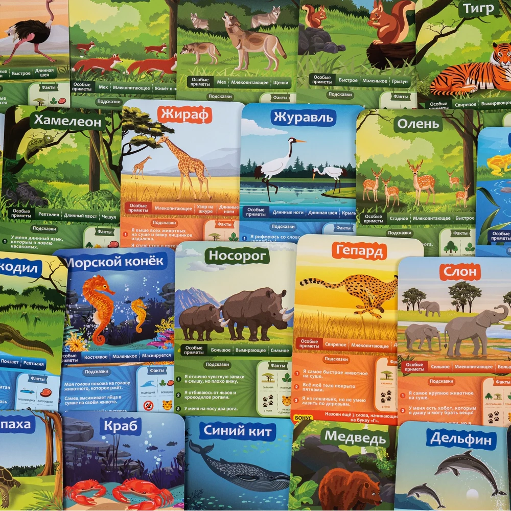 Brettspiel 10 Fragen für Kinder. Tierwelt“