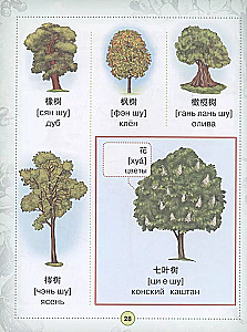 Visuelles Chinesisch-Russisches Wörterbuch für Kinder