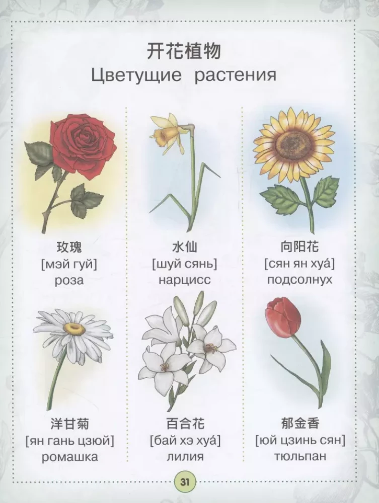 Visuelles Chinesisch-Russisches Wörterbuch für Kinder