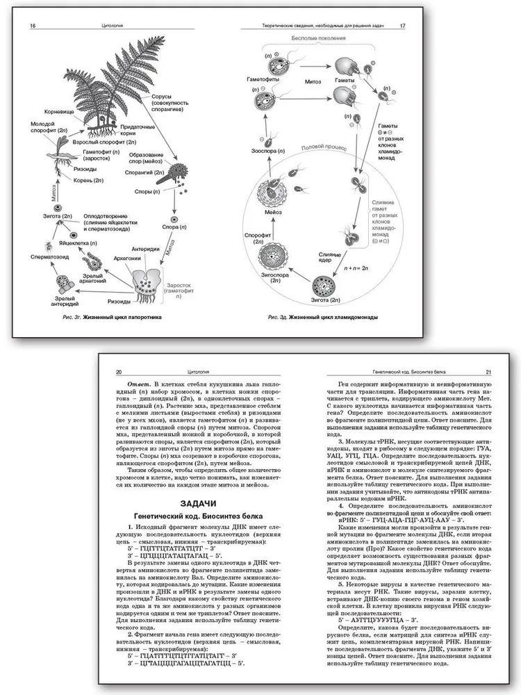 Sammlung von Problemen der Zytologie und Genetik. 10-11 Klassen