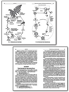 Sammlung von Problemen der Zytologie und Genetik. 10-11 Klassen