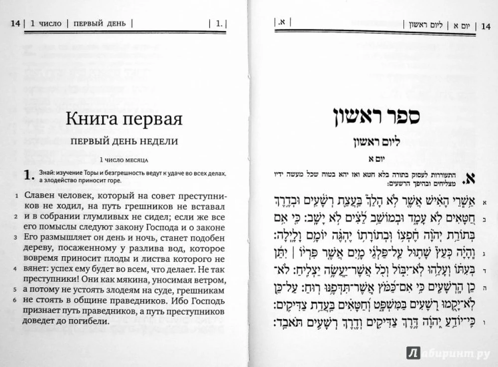 Buch der Psalmen Tehillim