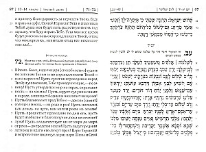 Buch der Psalmen Tehillim