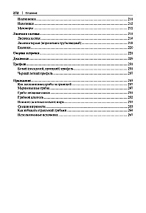 Грибные заготовки: традиционные и новые рецепты