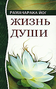 Жизнь души. Астральные переживания. 4-е изд