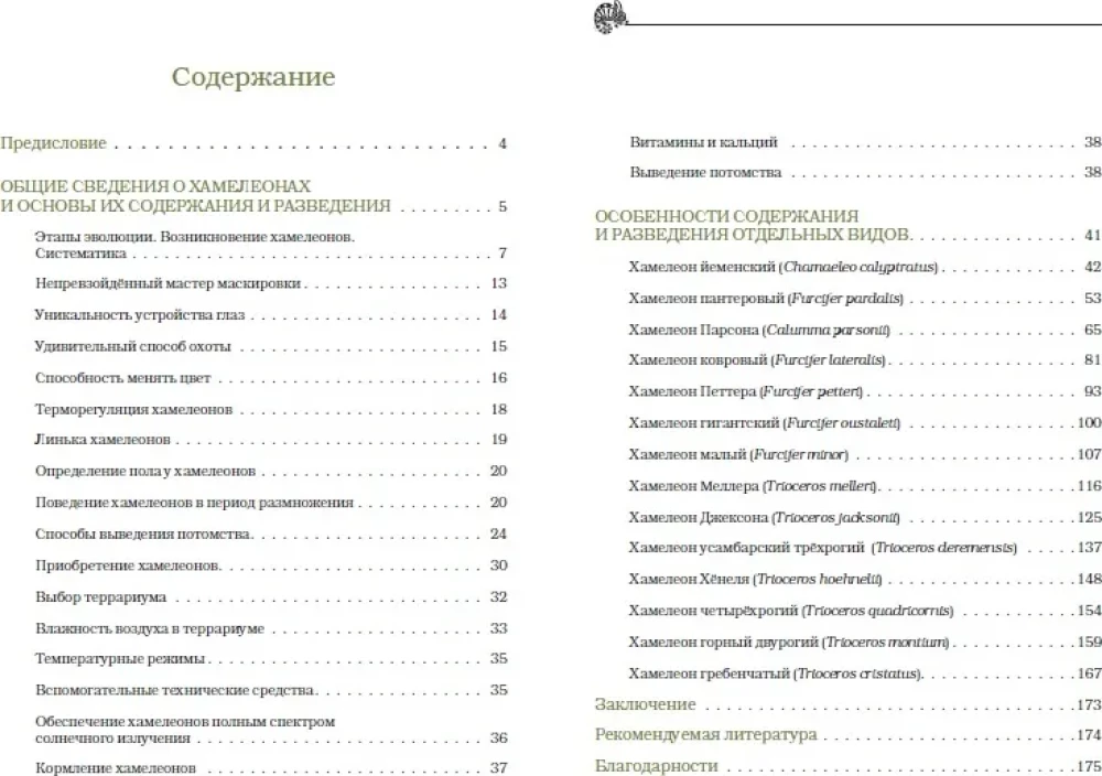 Хамелеоны. Содержание и разведение в домашних условиях