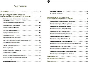 Хамелеоны. Содержание и разведение в домашних условиях