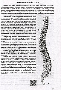 Анатомия человека. Атлас с qr-кодами на цветные изображения