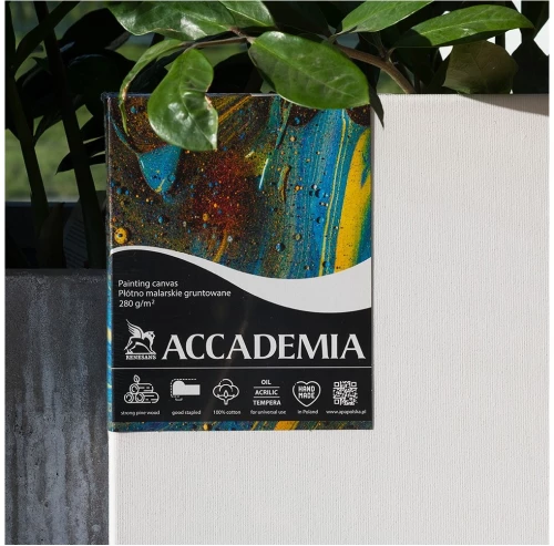 Холст на подрамнике "Accademia" 40x60 см