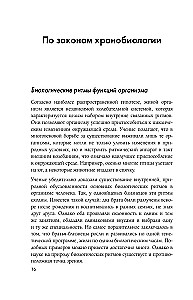 Биоритмы для здоровья. Рекомендации по режиму для хорошего самочувствия