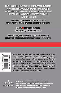 Анатомия человека: Русско-латинский атлас с QR-кодами