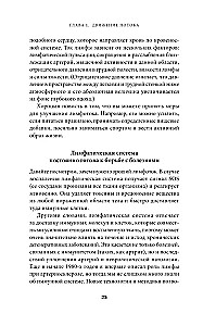 Лимфа и долголетие. Путь к укреплению иммунитета и предупреждению болезней