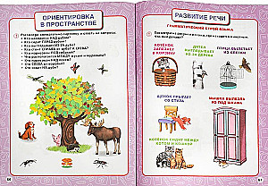 Годовой курс занятий. 5-6 лет