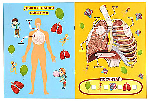 Тело человека. Большая книга с наклейками