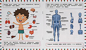 Развивающая книга 3 в 1. Лабиринты, ходилки, головоломки. Тело человека