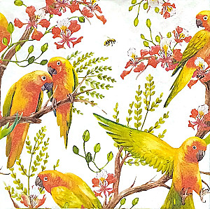 Салфетки Exotic birds, 33x33 см, 20 штук