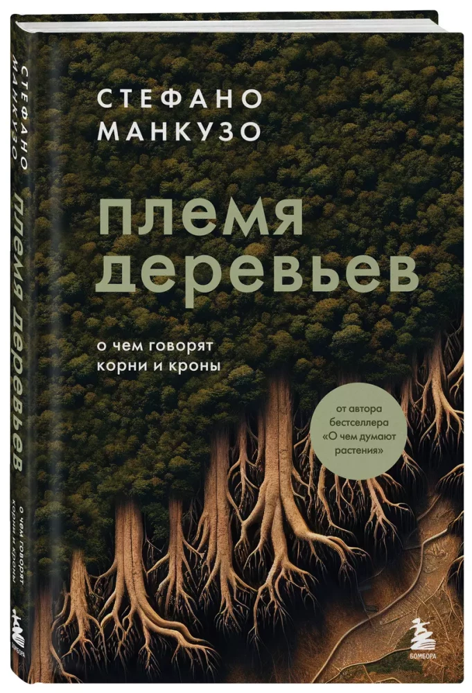 Племя деревьев. О чем говорят корни и кроны