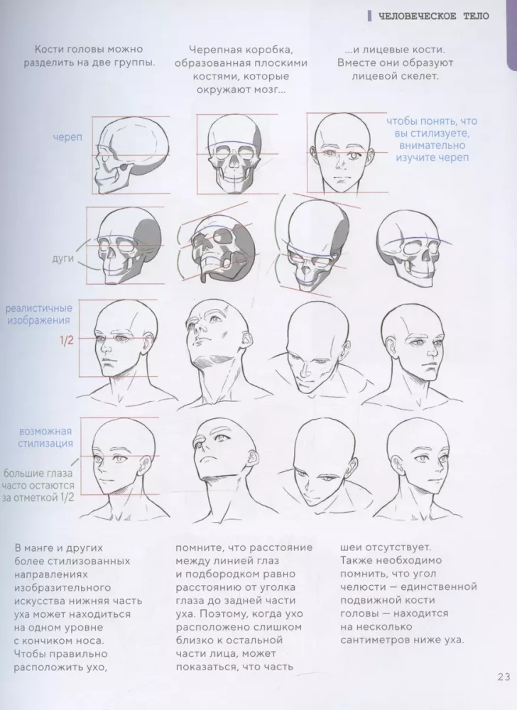 Как рисовать персонажей. Коллекция из 200+ референсов и подсказок по рисунку человека