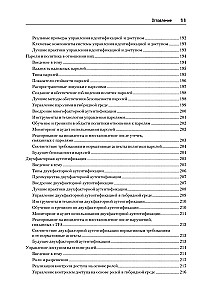 Cyberfestung. Umfassender Leitfaden für Computersicherheit