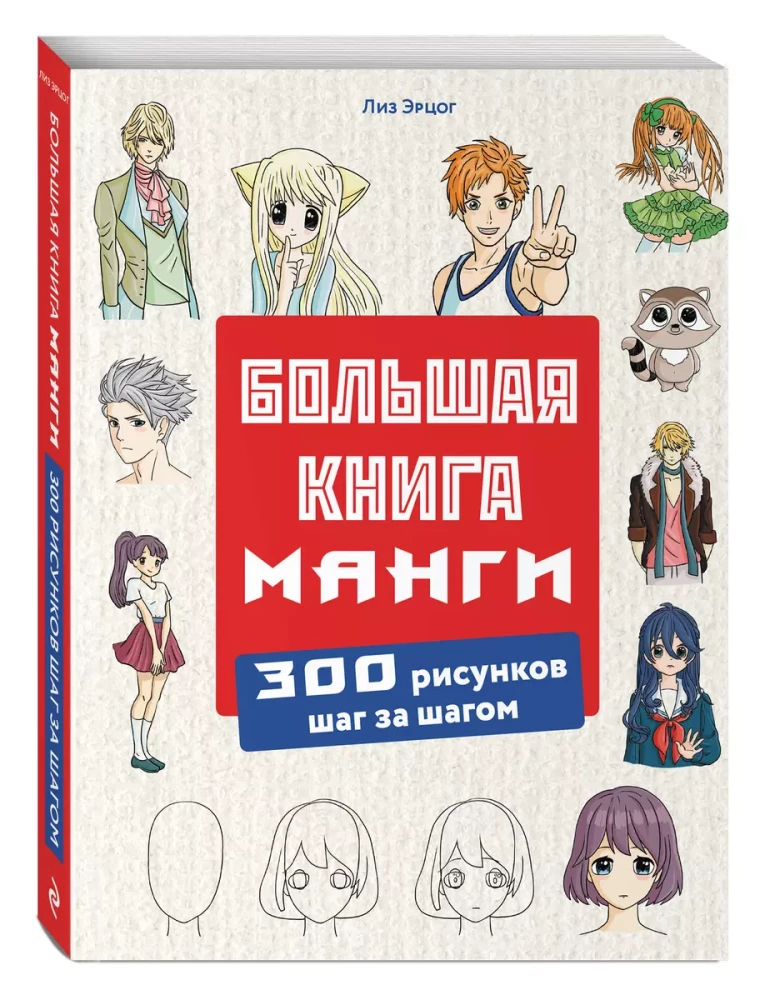 Großes Manga-Buch. 300 Zeichnungen Schritt für Schritt