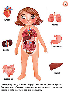 Das märchenhafte Lehrbuch über Medizin für Kleinkinder. Alles, was Vorschulkinder über Gesundheit wissen müssen