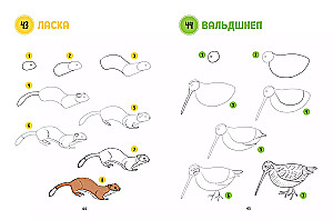 Большая книга животных. 300 рисунков шаг за шагом