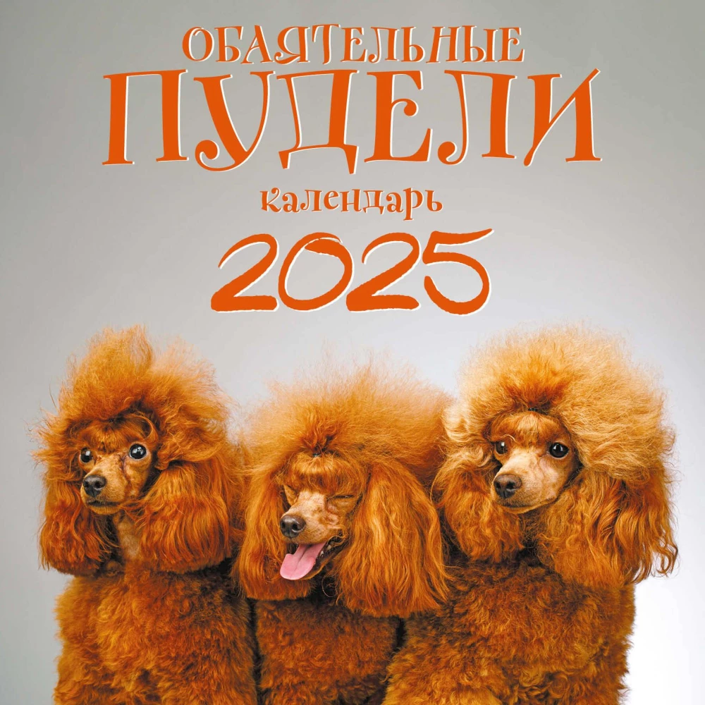 Charmante Pudel. Wandkalender für das Jahr 2025 (300x300)