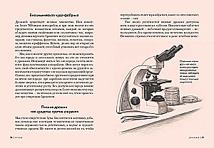 Грибы. Обитатели скрытого мира