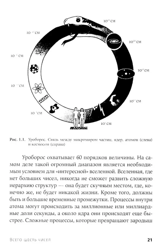 Всего шесть чисел. Главные силы, формирующие Вселенную