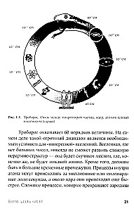 Всего шесть чисел. Главные силы, формирующие Вселенную