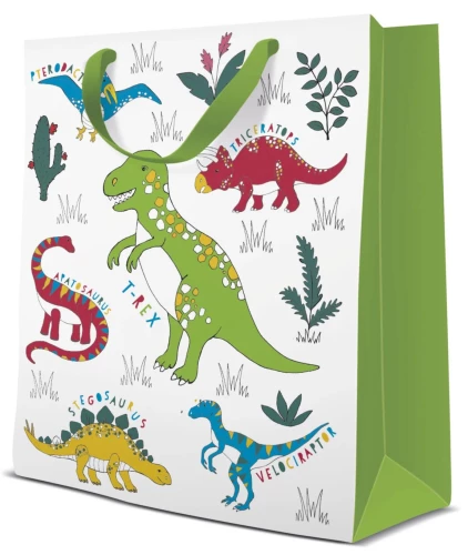 Geschenktüte - Dinosaurier (20x25x10)