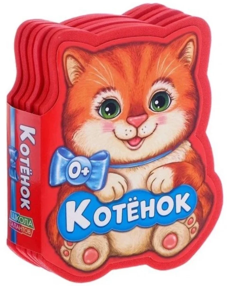 Kätzchen