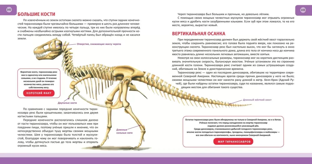 Dinosaurier. Vollständige Enzyklopädie