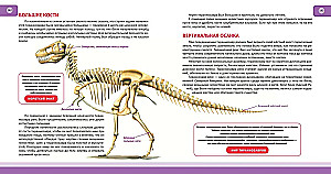 Dinosaurier. Vollständige Enzyklopädie