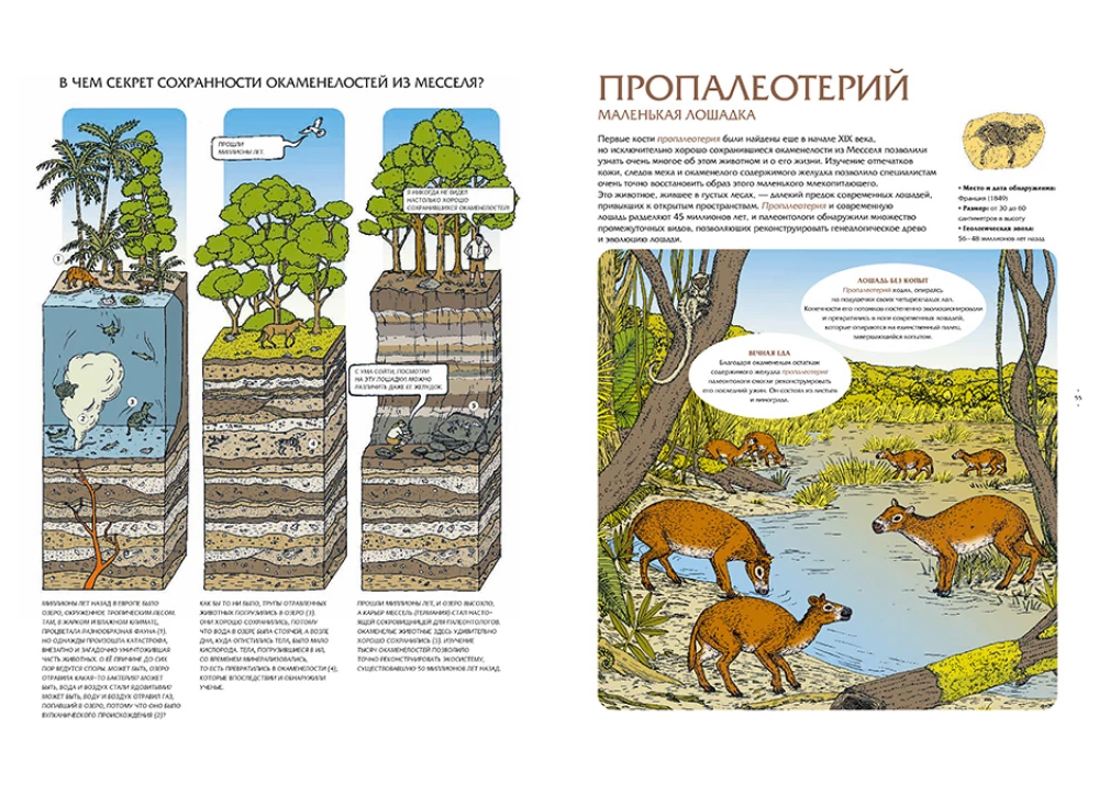 Животные затерянного мира