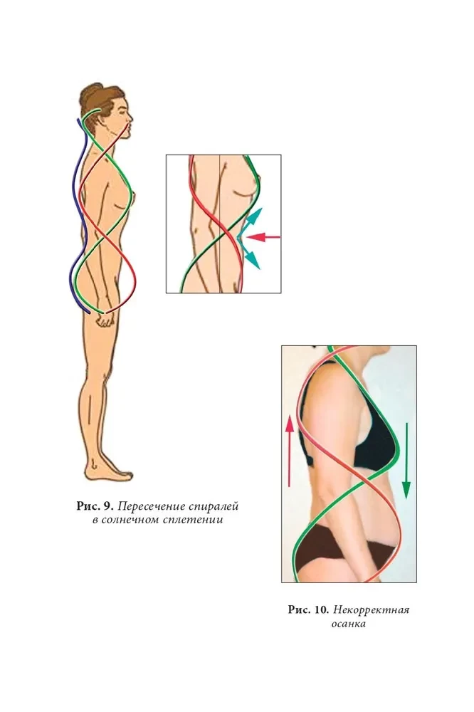 Quantenbiomechanik des Körpers. Methode zur Verbesserung des Bewegungsapparates. Teil 2