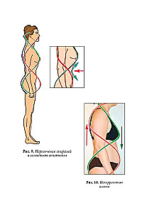 Quantenbiomechanik des Körpers. Methode zur Verbesserung des Bewegungsapparates. Teil 2