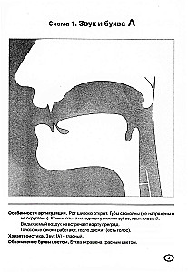 Artikulation von Lauten in grafischer Darstellung