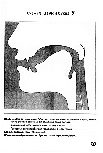 Artikulation von Lauten in grafischer Darstellung