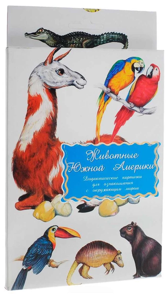 Дидактические карточки - Городские птицы