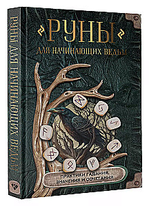 Руны для начинающих ведьм. Практики гадания, значения и сочетания