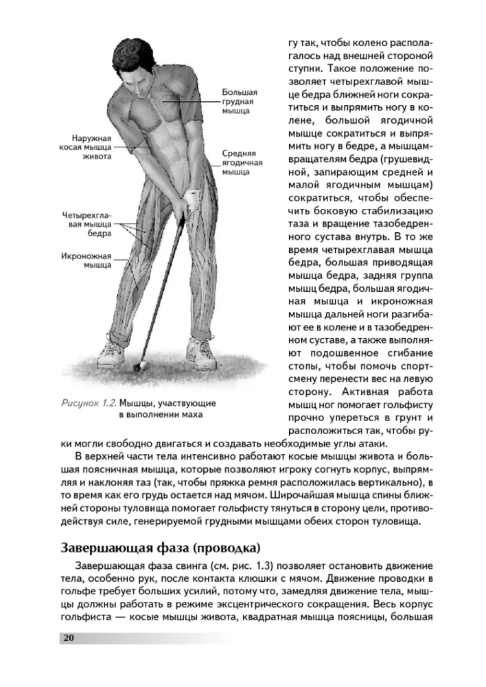 Anatomie des Golfspiels