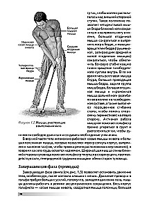 Anatomie des Golfspiels