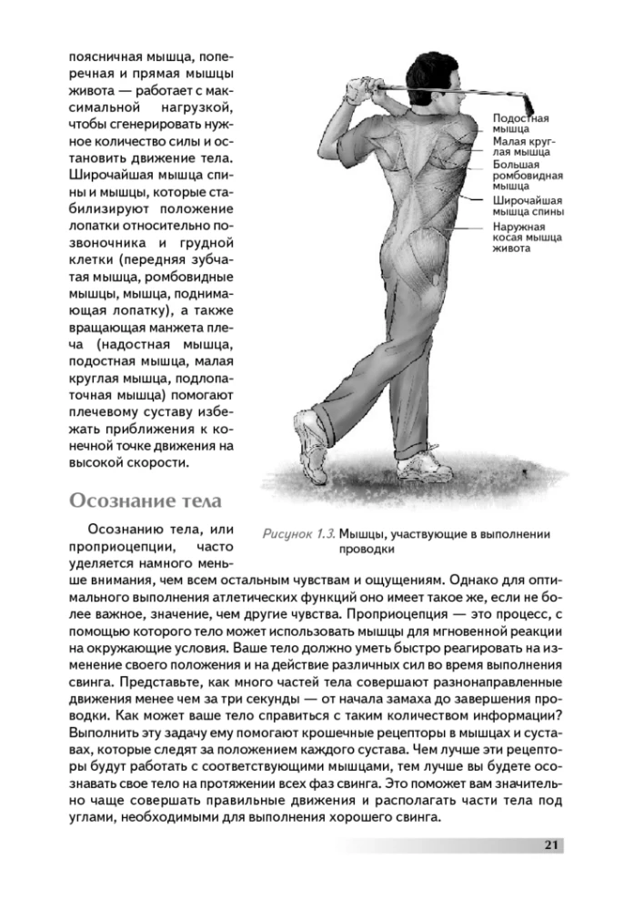 Anatomie des Golfspiels